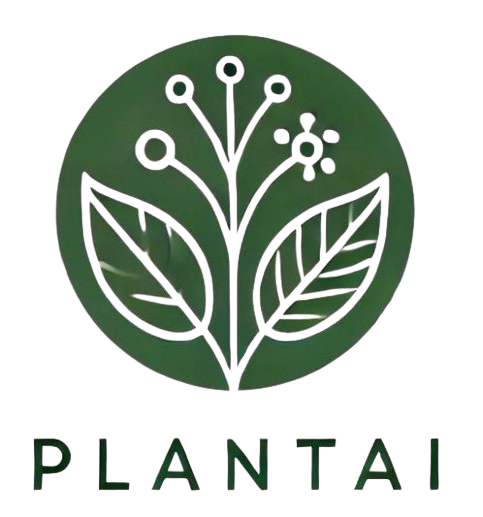 Logo de Plantai - Suscripción mensual de plantas